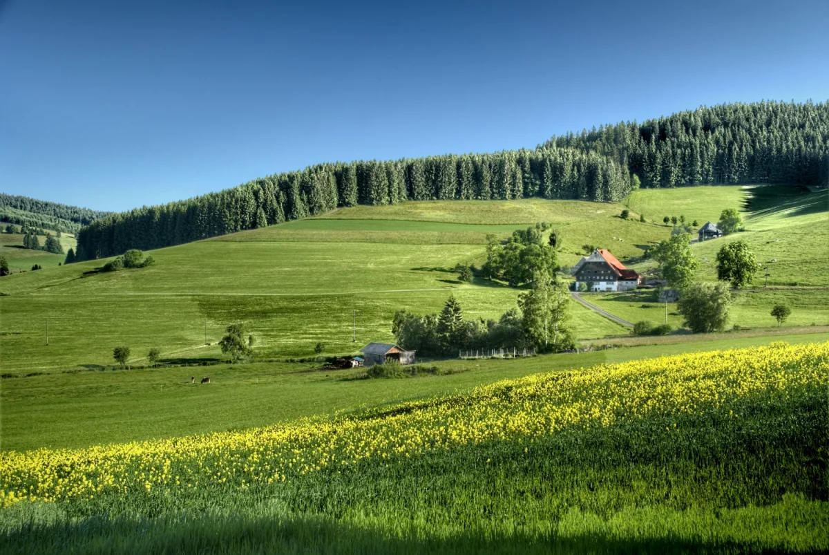10 inspirujących pomysłów na wyposażenie domu: odkryj idealne rozwiązania dla Twojego mieszkania