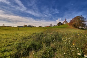 Tresna dom na sprzedaż - idealna okazja dla poszukujących nowego miejsca
