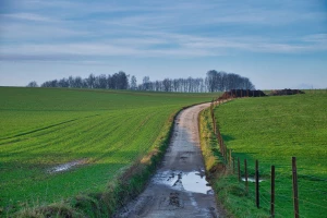 Sprzedam dom Płońsk - Przewodnik po sprzedaży nieruchomości
